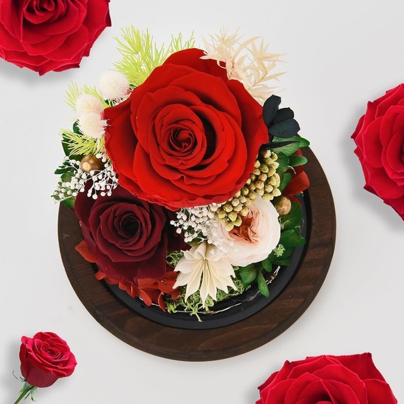 Preserved Rose Dome with Light - Picture 5 of 6